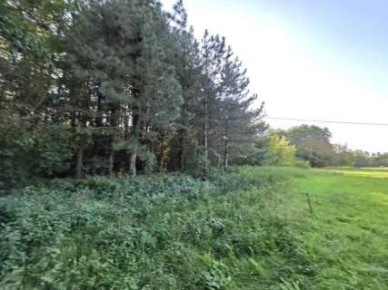 3 do wyboru, Świder, rezerwat przyrody