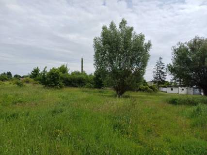 Działka inwestycyjna na sprzedaż, 17613 m2, Malbork