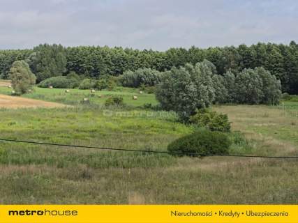 1,59 ha nad Nogatem Twoje miejsce na Żuławach