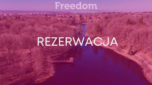 Rezerwacja Las Miejski, ul. Spacerowa