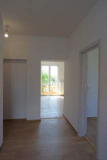 50m2 - do wprowadzenia - Mniszek