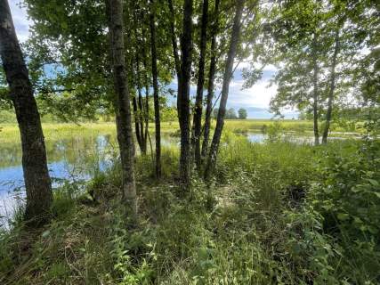 1,56ha DZIAŁKA BUDOWLANA ZE STAWEM 35min od Gdańsk