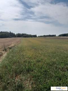 atrakcyjna działka rolna Skrzelczyce