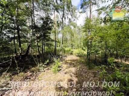 Działka rolno-leśna w Petrykozach - 16 975 m2