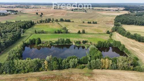 Działka 3,61 ha ze stawem i gruntem rolnym