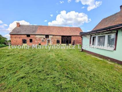 Siedlisko - 1,18 ha działka, Boraszyn, Gmina Wołów