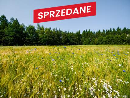 Na sprzedaż działka 79 arów- Domosławice