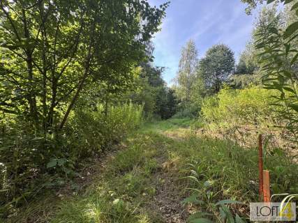 Duża działka z lasem , ponad 1,80 ha