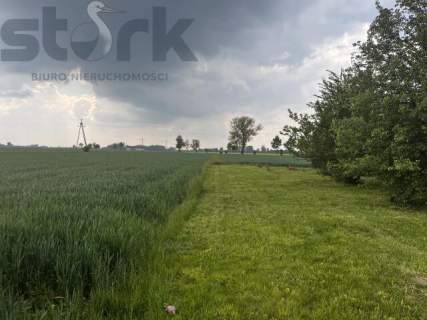 Wejsce, dwa domy - zagospodarowany ogród z altaną, budynek pod...