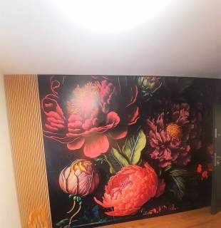Mieszkanie do wynajęcia, 17 m2, Kraków