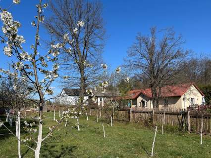 Dom z 2 lokalami, stawem i dużą działką, 1h od WWA