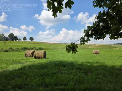 UROKLIWA DZIALKA 1,10 HA W JODŁOWEJ - OTOCZONA NATURĄ, Z P