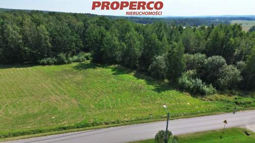 Działka pow. 30630 m2, Lechów, Bieliny