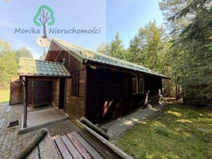 Na sprzedaż dom w sercu Borów Tucholskich - Kasparus