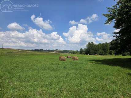 UROKLIWA DZIALKA 1,10 HA W JODŁOWEJ - OTOCZONA NATURĄ, Z P