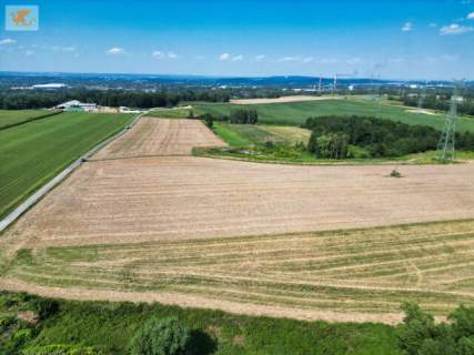 1,24 ha gruntu za 120 tys. zł Gołuchowice - gmina Skawina