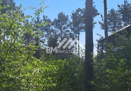 Adamowizna 1750 m2, media, las