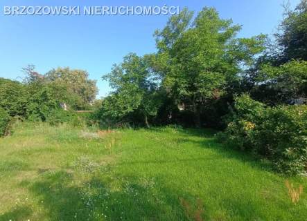 Wawer, Sadul. 596 m2, WZ, mieszkaniowa