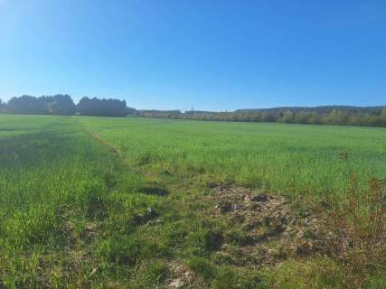 Działka budowlana na sprzedaż, 1000 m2, Serock
