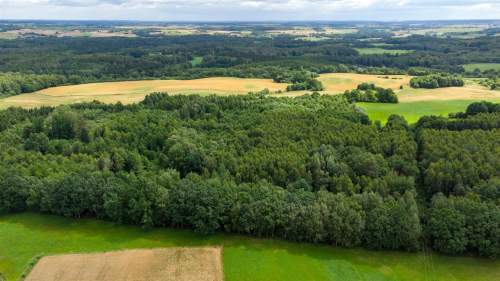 Działka siedliskowa na sprzedaż, 60200 m2, Nowe Mieczysławy