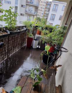 3 pokoje 60 m 2 balkony winda