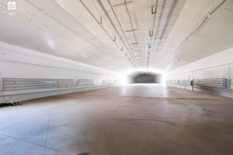 Działka prod-usług 1,48 ha plus hala 1250 m2