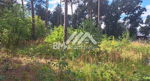 Adamowizna 1750 m2, media, las