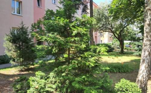 2-pokojowe mieszkanie na Pradze Południe