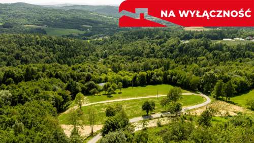 Działka 90 ar z Wz Olszowa, TANIO 