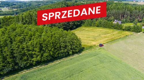Na sprzedaż działka 79 arów- Domosławice