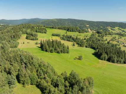 Działka rolno-leśna Obidowa