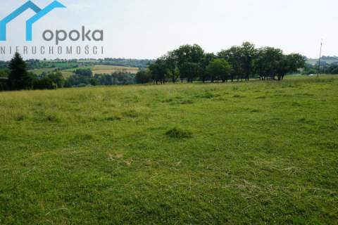 Duża działka w Cieszynie