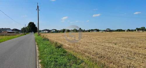 ATRAKCYJNE DZIAŁKI 5 KM OD CENTRUM GORZOWA WLKP 