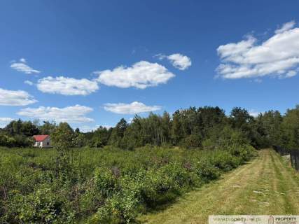 Działka z WZ, 37 a, Zasów, gm. Żyraków