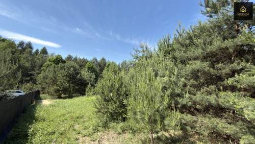 Cisza natura woda prąd światłowód MPZP Kampino