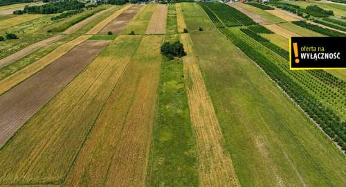 Siedlisko w Potoku 3,78 ha z domkiem wokół lasów