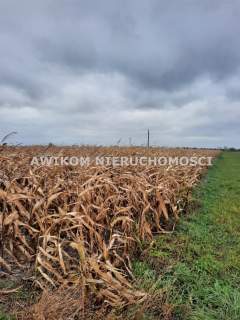 Działka budowlana na sprzedaż, 3001 m2, Zazdrość