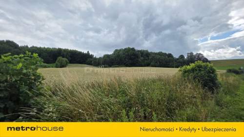 2,16 ha między jeziorami CHMIELNO I Kaszuby