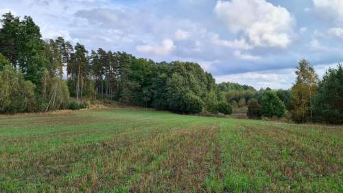 Przetarg - obręb Stary Wiec -działka niezabudowana