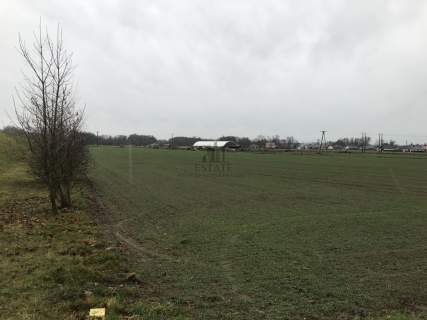 Działka inwestycyjna Sulechów Obłotne, usługi