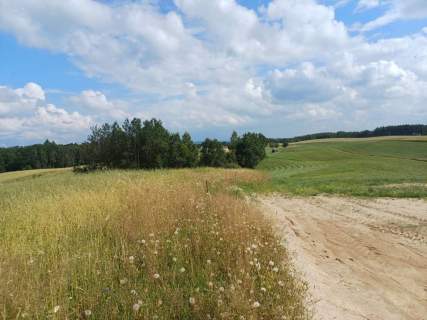 Działka budowlana na sprzedaż, 1011 m2, Borzestowska Huta