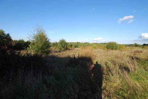 Działka 1533m2 Zbrza gmina Morawica