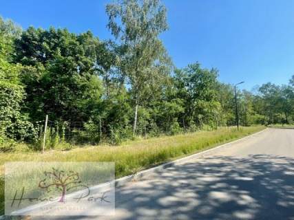 Działka dla DEWELOPERA Olechów/Janów 9960m2