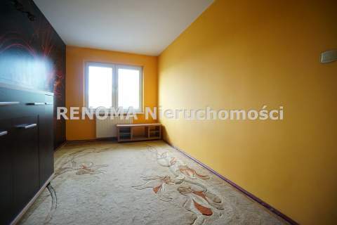 Antoniuk Cegła Do własnej aranżacji