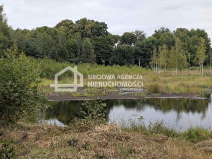 Działka siedliskowa 100.358m2, Jaroszewy/Skarszewy