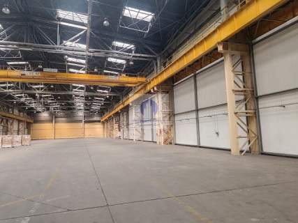 Bielany magazyn 4941 m2 do wynajęcia