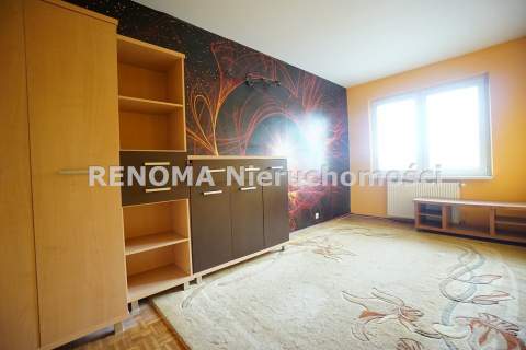 Antoniuk Cegła Do własnej aranżacji
