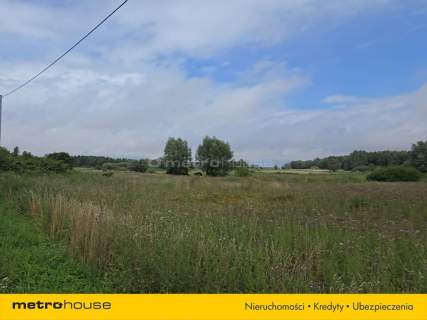 1,59 ha nad Nogatem Twoje miejsce na Żuławach