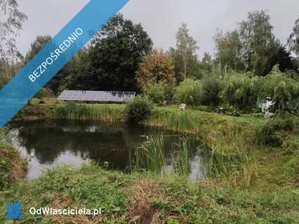 Posiadłość 4,6ha z zabudowaniami, stawem, blisko Warszawy