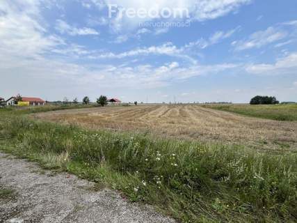 Działka w Grodnie pod zabudowę jednorodzinną